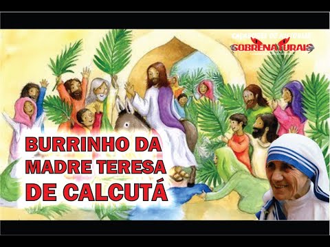 REFLEXÃO - O BURRINHO DE MADRE TERESA DE CALCUTÁ