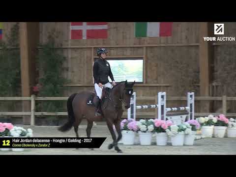 HAIR JORDAN DELACENSE