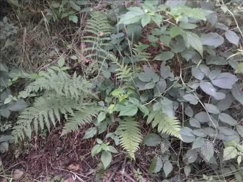 ♥♥Bądź zawsze blisko mnie♥♥