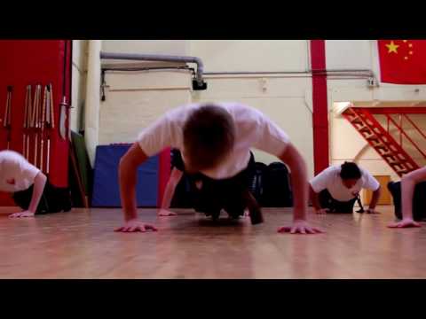Phönix Kung Fu und Tai Chi Schulen MV (Imagefilm)