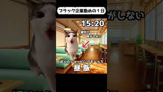 【猫ミーム】ブラック企業勤めの1日【実話】 #猫ミーム #猫マニ #catmemes #猫ミーム日常 #社畜 #shorts
