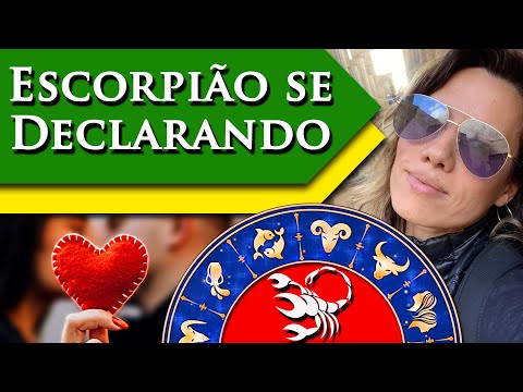 ESCORPIANO APAIXONADO – COMO SE COMPORTA?