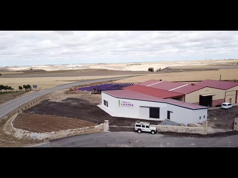 Presentación Tiedra de Lavanda Agosto 2019