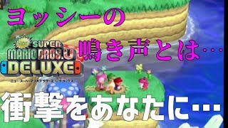 トッテンに囚われた男達の　スーパー仲違いブラザーズU　DX【NewスーパーマリオブラザーズUデラックスpart2】