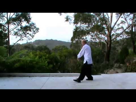 Wu Style Tai Chi 108 Movements Complete