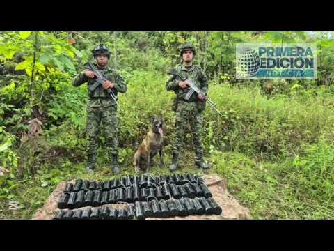 Ejército desactiva depósito con explosivos en Barbacoas, Nariño