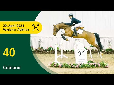Verden Auction Online - Sporthorses - April, 20 - No. 40 Cobiano by Comte - Gabbiano
