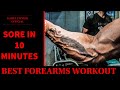 FOREARMS WORKOUT | RIPPED FOREARMS WORKOUT | HUGE FOREARMS WORKOUT | Rahul fitness official