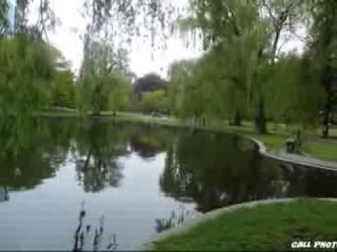 ROMANTIC  MUSIC ESPECIAL