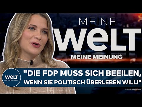 MEINE WELT - MEINE MEINUNG: "Die FDP muss sich beeilen, wenn sie politisch überleben will!" - Klapsa