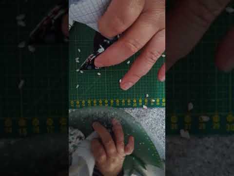 Soporte para el Movil II