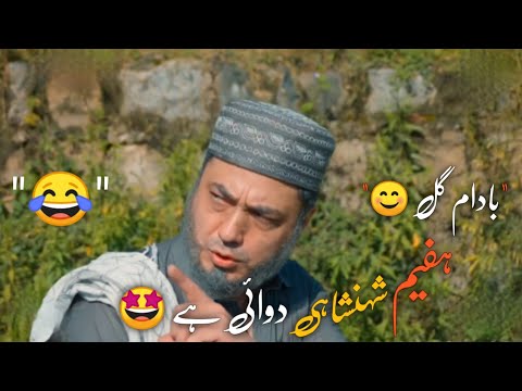 Badam Gul 🥀 Afeem Shahanshahi Duwai Hai | Sang-e-Mah Funny Scene With Urdu Lyrics 🌹
