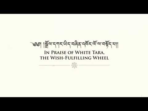 Praise of White Tara,//THE WISH-FULFILLING WHEEL // His Eminence The 8th Palga Rinpoche Recitation📿