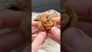 האגוז! חשבתי לנסות את זה! #amauryguichon #chocolate