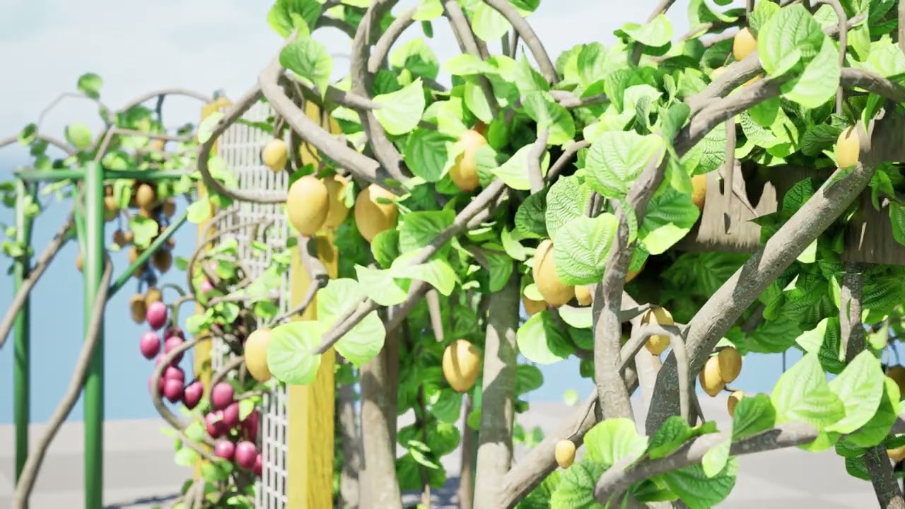 Kiwi Vine 3D Pack 3D Model