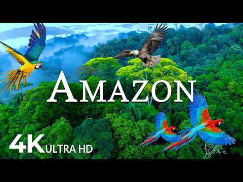 FLYING OVER AMAZON (4K UHD) – Soothing Music Along With Beautiful Nature Video - 4K Video ULTRA HD