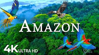 FLYING OVER AMAZON (4K UHD) – Soothing Music Along With Beautiful Natu