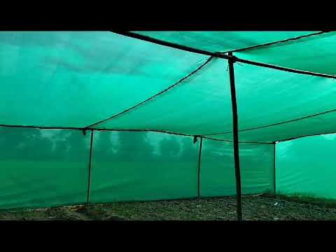 Plastic glossy nursery green shade net