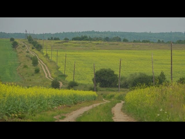 «В центре внимания»