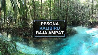 Jelajahi Pesona Surga Tersembunyi Kalibiru Raja Ampat Papua, Sungainya Jernih Bak Kristal