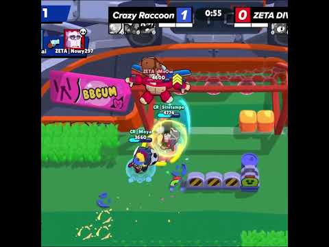 Crazy Raccon vs Zeta Division