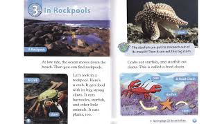 DISCOVER 1 - OXFORD READ & DISCOVERY - LEVEL 1 - AT THE BEACH