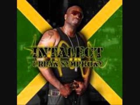 intalect - Bars of death