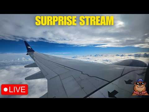 Live webcam of Koda Bear the Explorer 