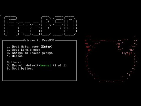 How to install FreeBSD in TrueNAS