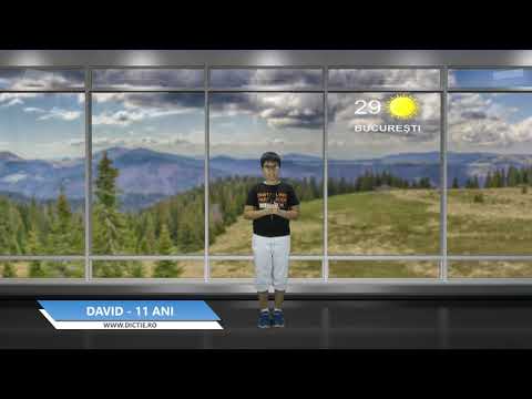 DAVID GIRLOVAN ne prezintă vremea - Proiect Meteo cu Daniel Nițoiu la Școala TV Dicție.ro