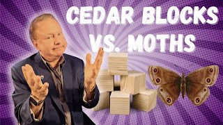 Cedar Blocks vs. Moths: Do They Actually Save Your Sweaters or Is It Just a Myth?