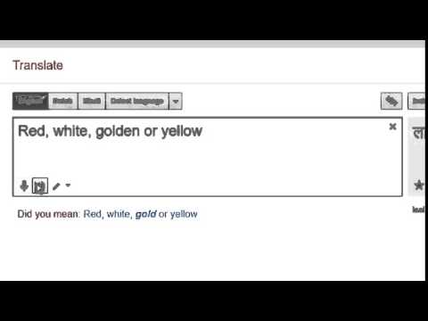 Google Translate Derp