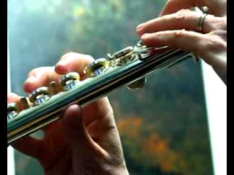 Yamaha 371 Allegro w/ Gold Plated Lip - Low to Upper Range Demo - Used Flutes for Sale