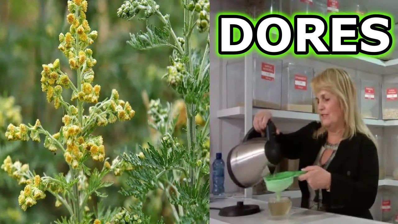 Fortalece os Ossos, Acaba com Dor nos Nervos, Músculos, na Cabeça, Gases… 💖 MARILENE SARAH FIALH