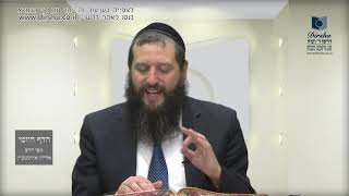 הדף היומי מסכת סוכה דף יא