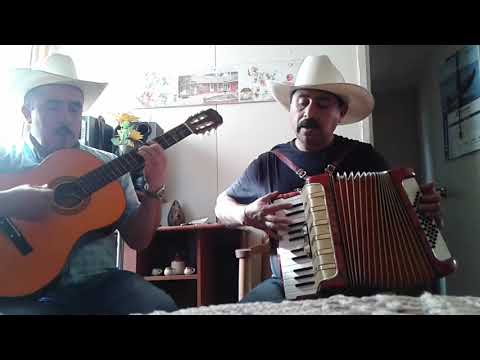 MAL PAGADORA DE AMORES - INTERPRETES DESCONOCIDOS #rancheras #acordeon #guitarra