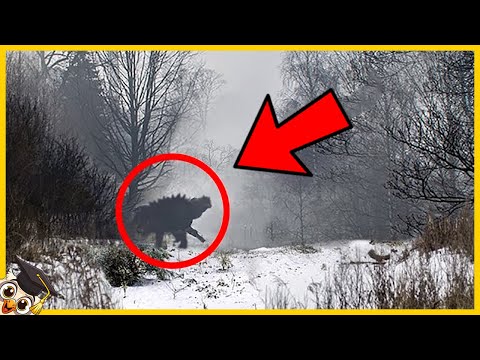 10 Najstraszniejszych rzeczy znalezionych w Czarnobylu