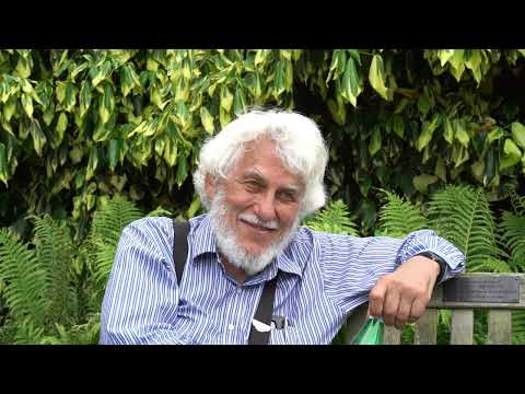 An interview with Bill Unruh - Part V: Analogue experiments