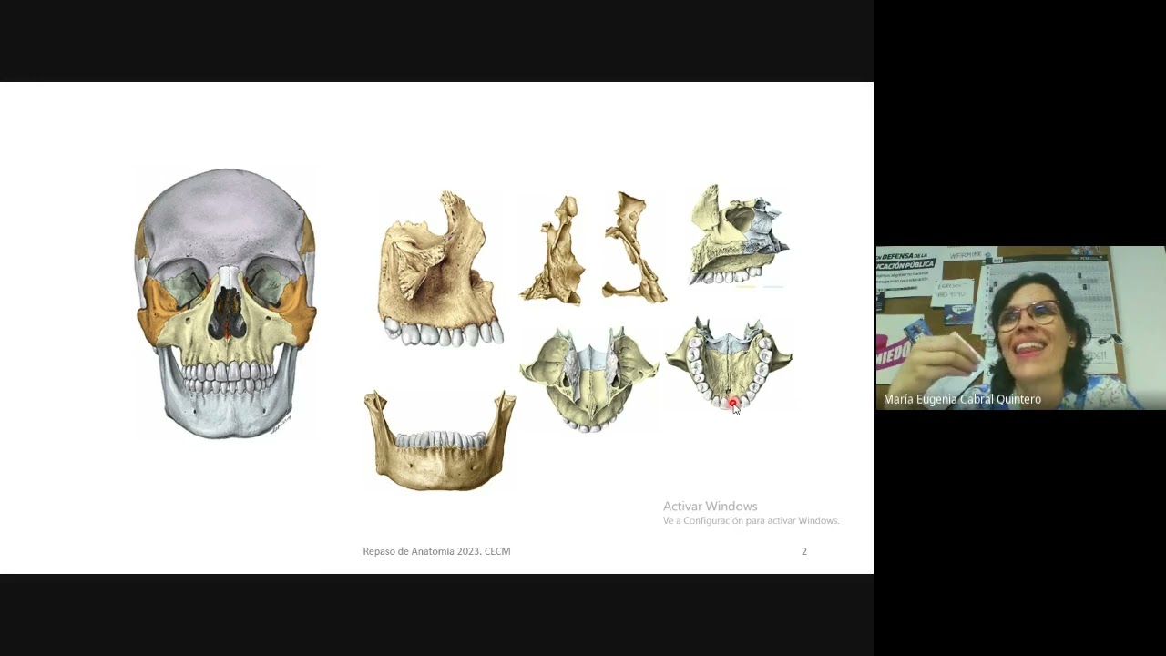 PREPARATE Nutrición - Cavidad Bucal - Prof Eugenia Cabral