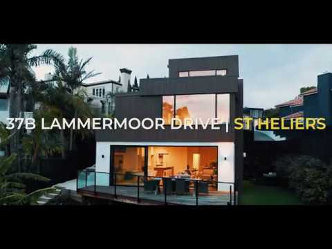 37B Lammermoor Drive, St Heliers - John Lantz