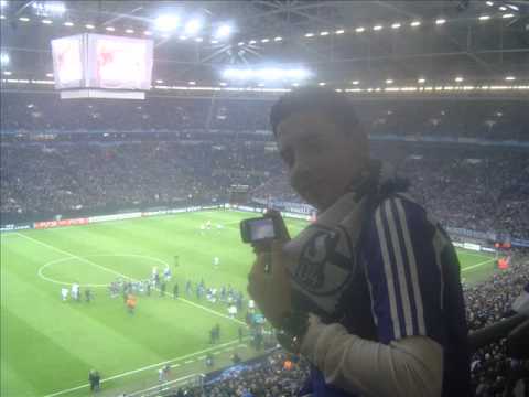 Ediveren Schalke 04 MISKO