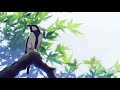 Buji Fa Tha Birds Original Mix