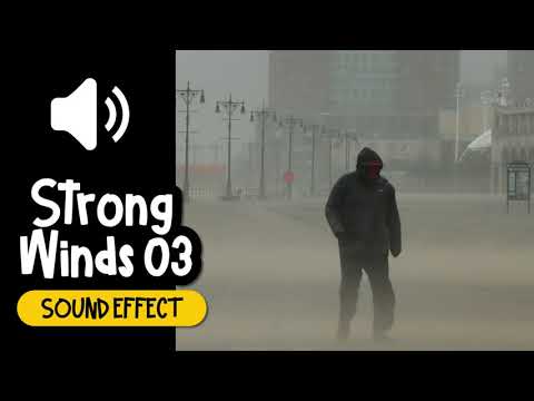 Strong Winds #03 Sound Effect | 强風 #03 呼嘯 環境音 音效 (High Quality)
