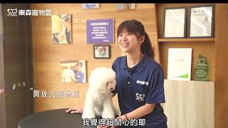 [正妹] 東森寵物雲 陳佳