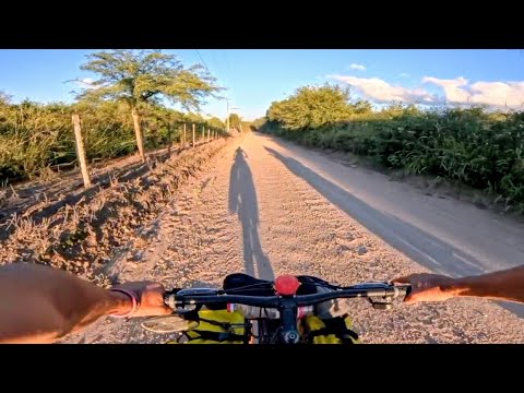 A revolear las patas