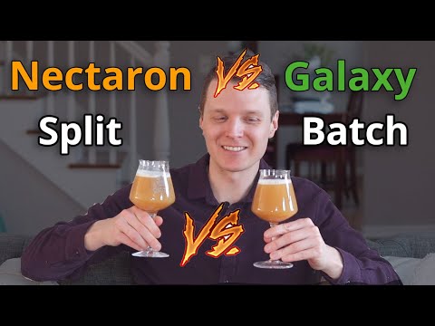 Splitsies: Nectaron vs Galaxy NEIPA Split Batch | Brewing with Nectaron Hops