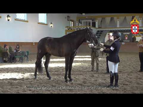 220128 2 Nobel - Aprovação de Garanhões