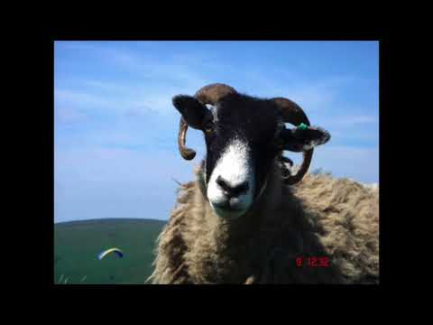 Video thumbnail for Computerband 2000 m,+3