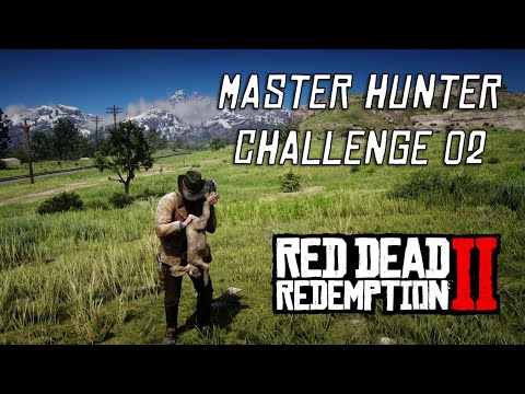 Red Dead Redemption 2 - Master Hunter Challenge #2 | Collect 3 Perfect Rabbit Pelts