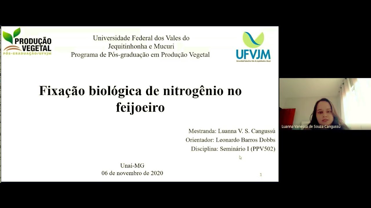 Fixação biológica de nitrogênio no feijoeiro